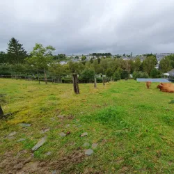 Hiking Trails in the Ardennes - Clervaux
