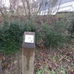 Parc Municipal de Clervaux - Clervaux