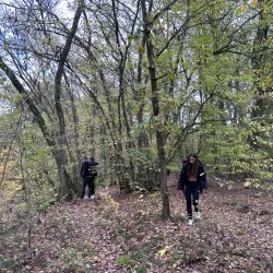 The Clerve River - Clervaux