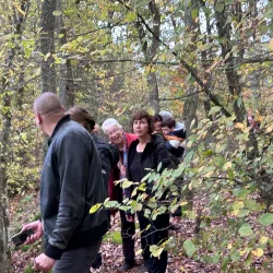 The Clerve River - Clervaux