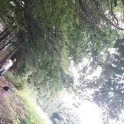 The Clerve River - Clervaux