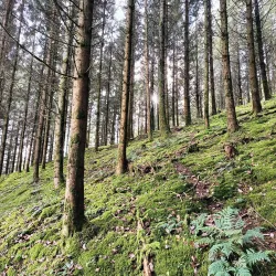 The Old Town of Clervaux - Clervaux