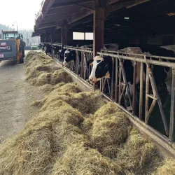 Alzette River Trail - Colmar-Berg
