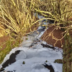 Alzette River Trail - Colmar-Berg