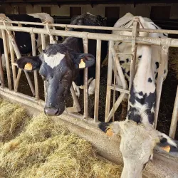 Alzette River Trail - Colmar-Berg