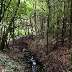 Luxembourg Ardennes Nature Park - Colmar-Berg