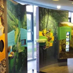 Luxembourg Ardennes Nature Park - Colmar-Berg