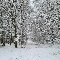 Luxembourg Ardennes Nature Park - Colmar-Berg