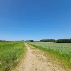 Mamer River Walks - Colmar-Berg