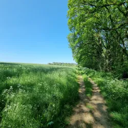 Mamer River Walks - Colmar-Berg