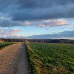 Mamer River Walks - Colmar-Berg