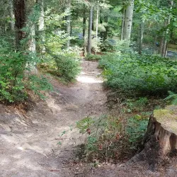 Mamer River Walks - Colmar-Berg