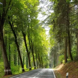 Mamer River Walks - Colmar-Berg