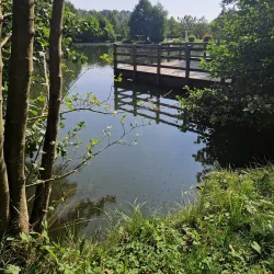 Parc Municipal de Colmar-Berg - Colmar-Berg