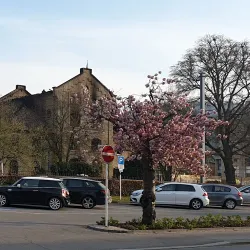 Diekirch Old Town - Diekirch