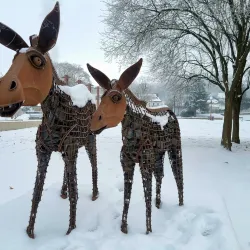 Parc Municipal de Diekirch - Diekirch