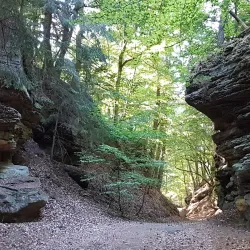 Sauer River Promenade - Diekirch