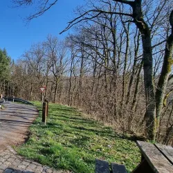 Sauer River Promenade - Diekirch