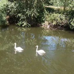Sauer River Promenade - Diekirch