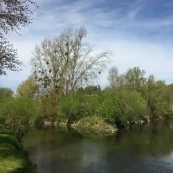 Sauer River Promenade - Diekirch