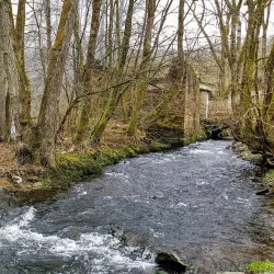 Sauer River Promenade - Diekirch
