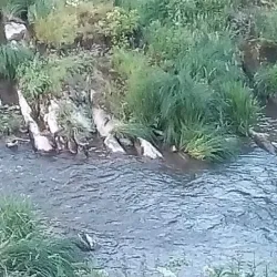 Sauer River Promenade - Diekirch