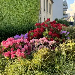 Differdange Castle - Differdange