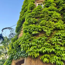 Differdange Castle - Differdange