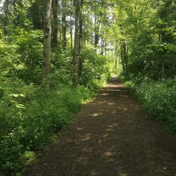 Differdange Industrial Heritage Trail - Differdange