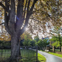 Parc de la Fondation Pescatore - Differdange