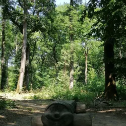 Dudelange City Park - Dudelange