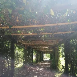 Dudelange City Park - Dudelange