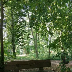 Dudelange City Park - Dudelange