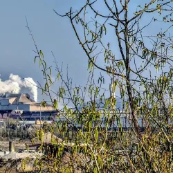 Belval District - Esch-sur-Alzette