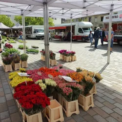 Esch-sur-Alzette Market - Esch-sur-Alzette