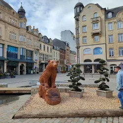 Esch-sur-Alzette Market - Esch-sur-Alzette