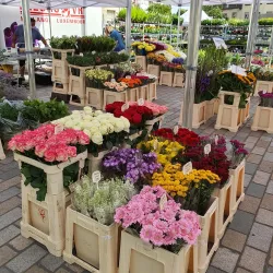 Esch-sur-Alzette Market - Esch-sur-Alzette