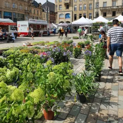 Esch-sur-Alzette Market - Esch-sur-Alzette