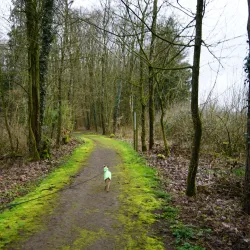 Parc du Château de Colpach - Esch-sur-Alzette