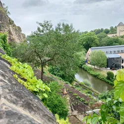 Alzette River Promenade - Ettelbruck