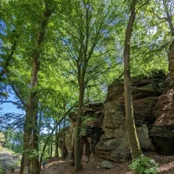 Mullerthal Trail (nearby) - Ettelbruck