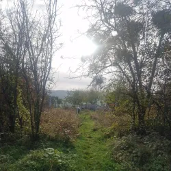 Parc Municipal d'Ettelbruck - Ettelbruck