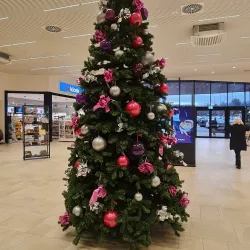 Grevenmacher Market - Grevenmacher