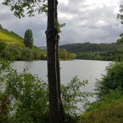 Moselle Cycle Route - Grevenmacher