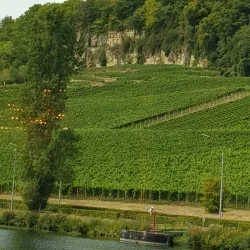 Moselle River Promenade - Grevenmacher