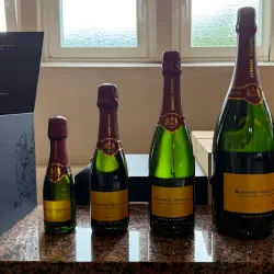 Vineyard Tours and Wine Tastings - Grevenmacher