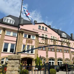 Vineyard Tours and Wine Tastings - Grevenmacher