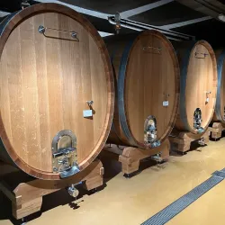 Vineyard Tours and Wine Tastings - Grevenmacher