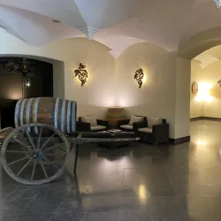 Vineyard Tours and Wine Tastings - Grevenmacher