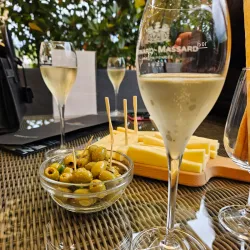 Vineyard Tours and Wine Tastings - Grevenmacher